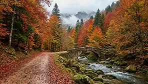 Paisaje forestal otoñal en Navarra utilizado como referencia para el análisis de sostenibilidad ambiental, gestión del territorio y planificación de destinos turísticos de interior.